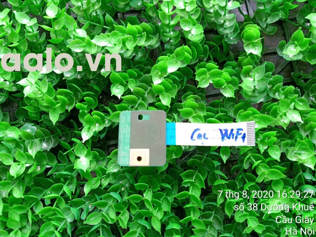 Cạc wifi Máy in đa chức năng Canon MF 421DW - aalo.vn